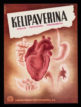 Kelipaverina : khellin, papaverina, fenobarbital / Laboratorios Vieta-Plasencia, S.A.