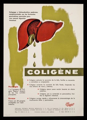 Infecciones intestinales, Vioftalyl ... : Coligène : colagogo a hidrocolerético poderoso, complementado con los fermentos pancreáticos esenciales para una normal digestión intestinal / Andre Bigaux, S.A.
