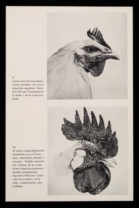 Perandren : hormona testicular sintética / CIBA.