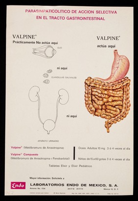 Manibee complejo B balanceado para uso parenteral ... : Parasimpaticolitico de acción selectiva en el tracto gastrointestinal : Valpine /cLaboratorios Endo de Mexico, S.A.