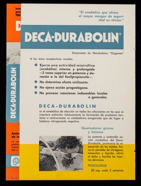 Organon presenta el anabólico más potente conocido, Deca-Durabolin / Organon.