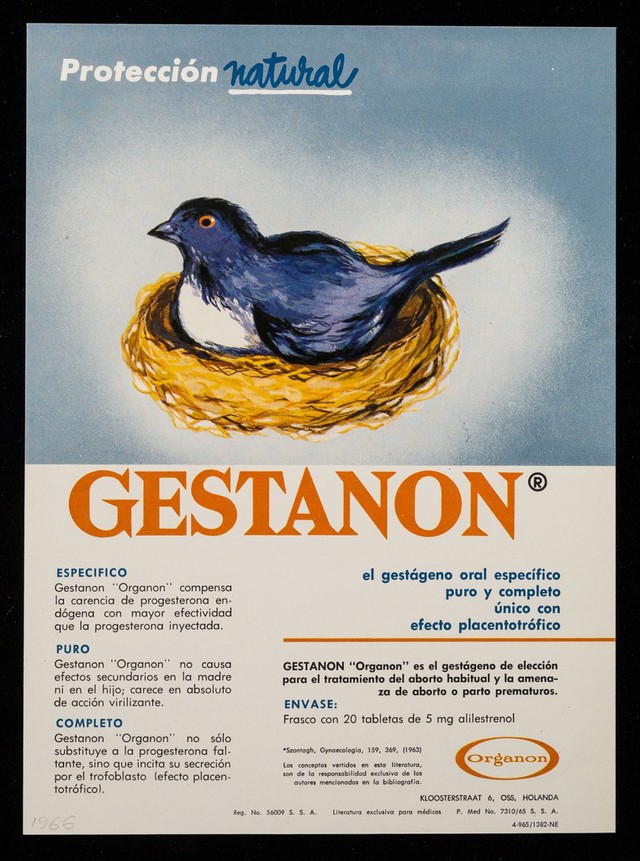 digitised image 1