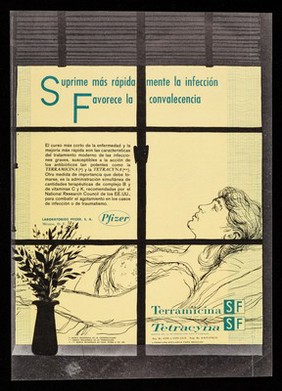 Suprime más rápidamente la infección, favorece la convalencia ...Terramicina SF, Tetracyna SF ... : Cuando el vómito es incontrolable prescriba Bonamina ... / Laboratorios Pfizer, S.A.