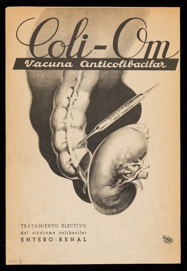 digitised image 2