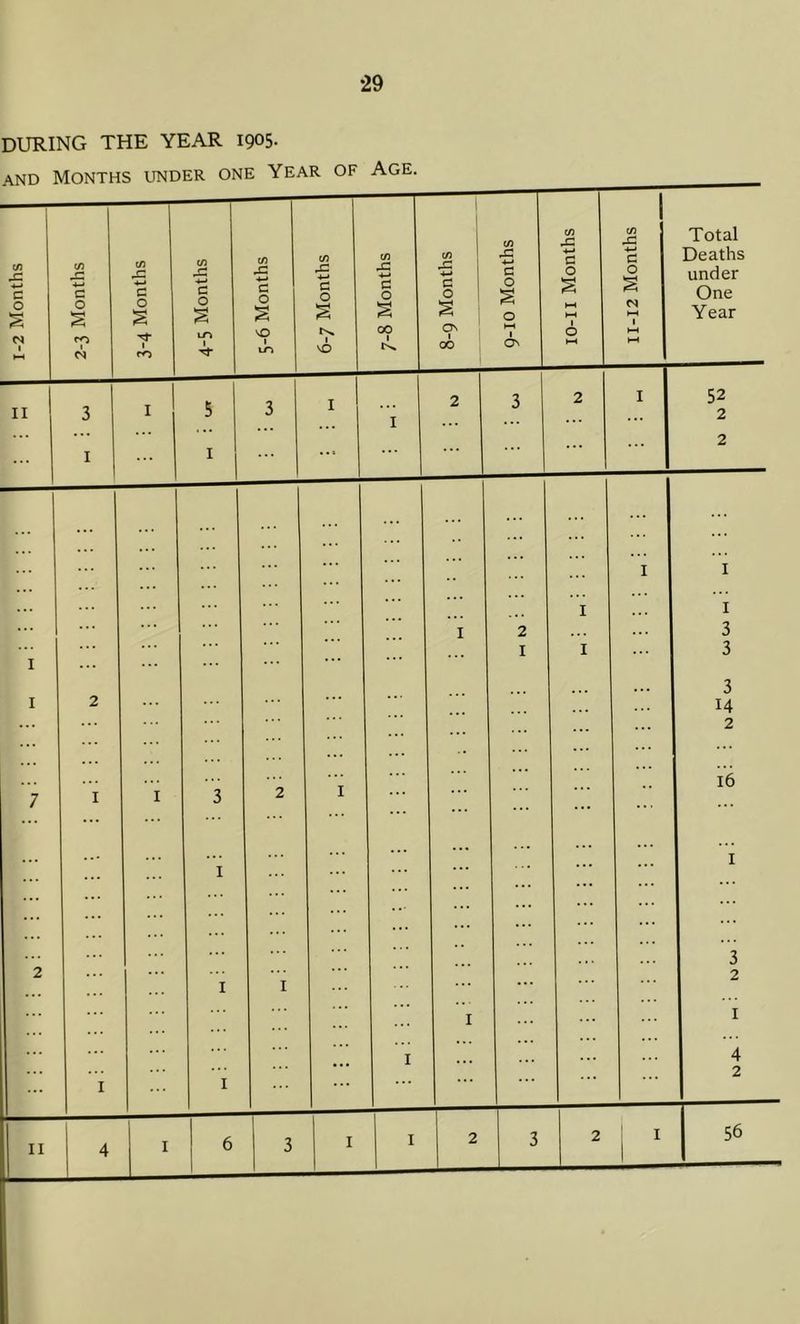 during the year 1905.