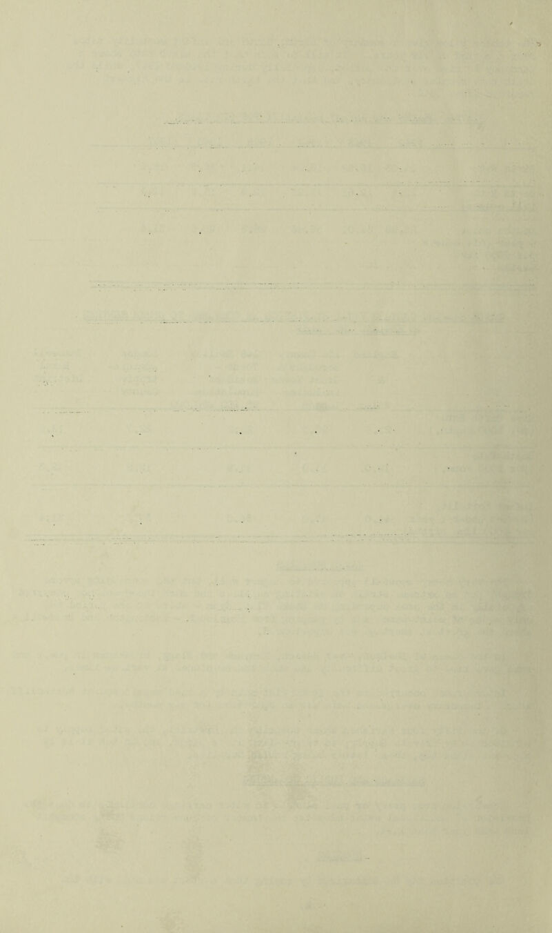 * • 1 t. ^ { ^ J I ;• *' - ^ S Tb 1^ I L‘*. I > ,V f ' ¥. A