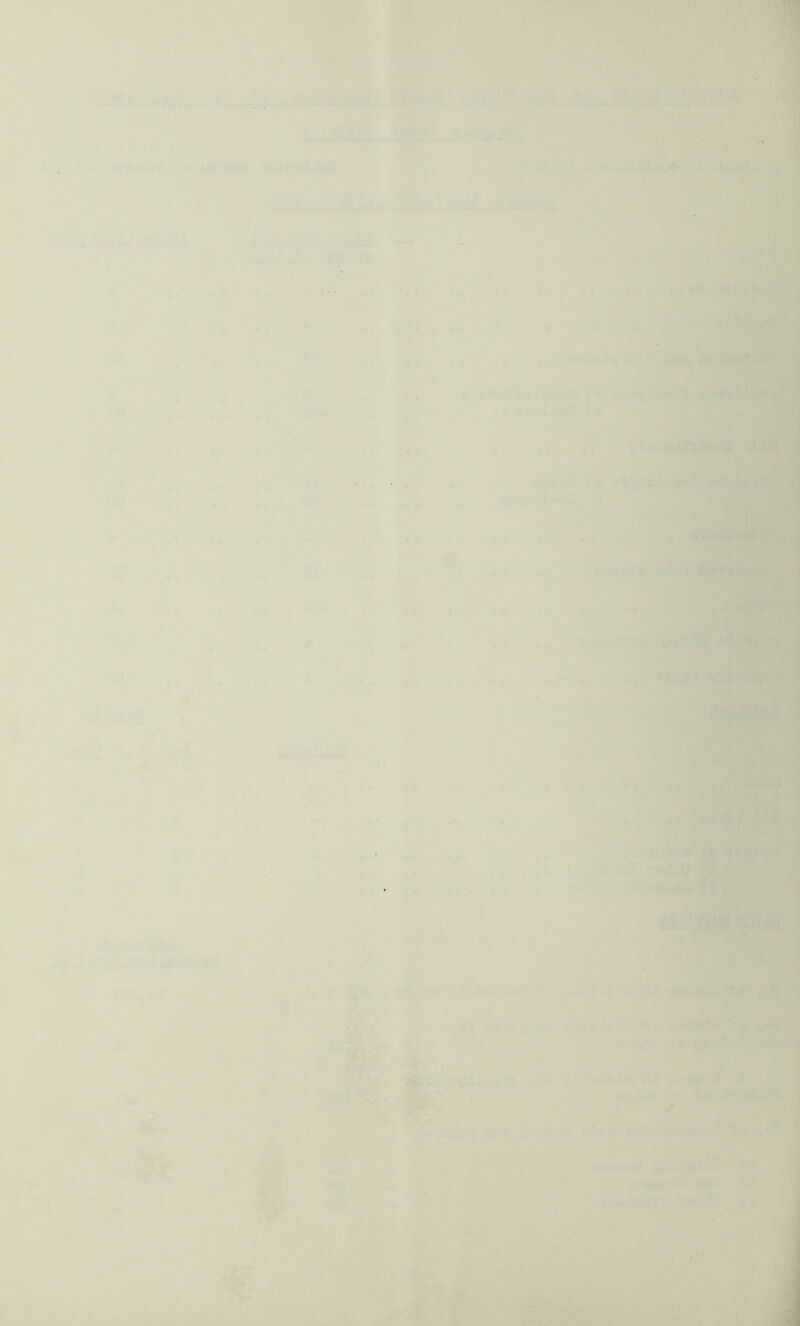 ;*-,r . V'V- - '=)?'>! m<»ai.; - ^tiiA‘ .JH«.-.«.'a;i.i • T ■ ■ '^^^***** *if*y •*'*»t* ■ ‘. ,V/'./>,’ -v,hH>'S.*' *■ v’t’ '. ^ - Tc»'f[?k^ . ..'y:^/i-:V . :/l, -\i ^ S' , '■,■■' . ’’ • iV' ,»r“>.. • ' •' ’ J* y' .--, . .■Tsiiafei-iii?-- ■§ r ' I' -'if 'ai.'^'C'‘'-^ '•>'(•- ,,*i4 ' ‘ * < ^* . ' •* ■ *‘ ' *•■'•' *•'.*■ V ■ ' .&/' »■ I; JC c/ii. ■v\ ,* * >».S \ a •I.- ',''', f i' r * ', '/, '• ,;vff \ 'V'.’ ,. «'r R', « • « • >1< ■#•■■''; .. .'Ls^ I ■ '■•'ftflEl .'; 'j >1 .^■r■' '*■ ’ ‘ 'W ,. .M » i ' ; , * “ ■* '. 'W :’.vT- li' c* .V .14« - 9,t ^ ^ .' »*■ •.•'» 4| ■ ,*. »«&•■ » v »J4 , * * * •* . ' , i # •' • ) • ■* * .f ^ _ ■ r % ■ J , ► / - r ■ • 'iJ.t 9 • vV .‘:^U2*'ir. . -ir •‘■-• ■ _.. . . ''i», i ,*'. , ».. -I . /' . V.' ' * <> '/V ' . ■' ' ',■ . 1‘ ' ' ( % 4 ^ « !,r ’•.' .*■* . . ./ '^i*'./lw . -v.. ' 'j, j - ysidL K.^ r*^'. •'jUF ,'iCt <^4 \t‘- »■ ■•-. ' ' ;;, 'W. -^ f'®* ■ ■•■-' v|»ni* f^ iT' Vjp,' -i^!? 'U,iWm ?^r-, .1 ‘-vl' ’ \i •)'''’’ ■• ■>'^ > ^4'ri ■ ^ •Vfe-#- 'SI , V'sJM4*:..1«,t-,44.l;.^■:..^to:^'«« II , i»i,,:■,■<;■- 4''' ■.;,. ■: iitk ..V •/