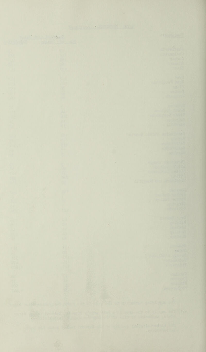 W' ' ■•Vf, •^'T4 .•*> . „ • . ■. • ■'- ■. ■7. --■ , >r ' .■••'(» ■ ■■■ ■. i|^‘ ‘«»i !Sj ^ ■ ' 'UBk-?' 1' ^ •i]  ’ ■' 'fiwffrw ’*?. ', ■'> ,J%»‘ ' fS'l'M ’ ■ ' m ' »^(4TL »-.'o*?. 4'a 'Vi-rorff!’ vA’Anti '‘■'^ H\» > V iW * Uif^M -i 1^?*■ttf'*'rt'**!* '•* ''■ ,^i.- , • /f c i'r- , , V ,^'' • . .,* *^ i . 'W'9 >.:v' ■ • i .Ja a*