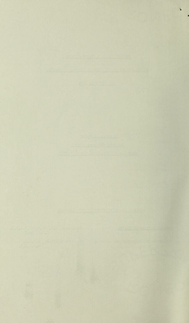 digitised image 2