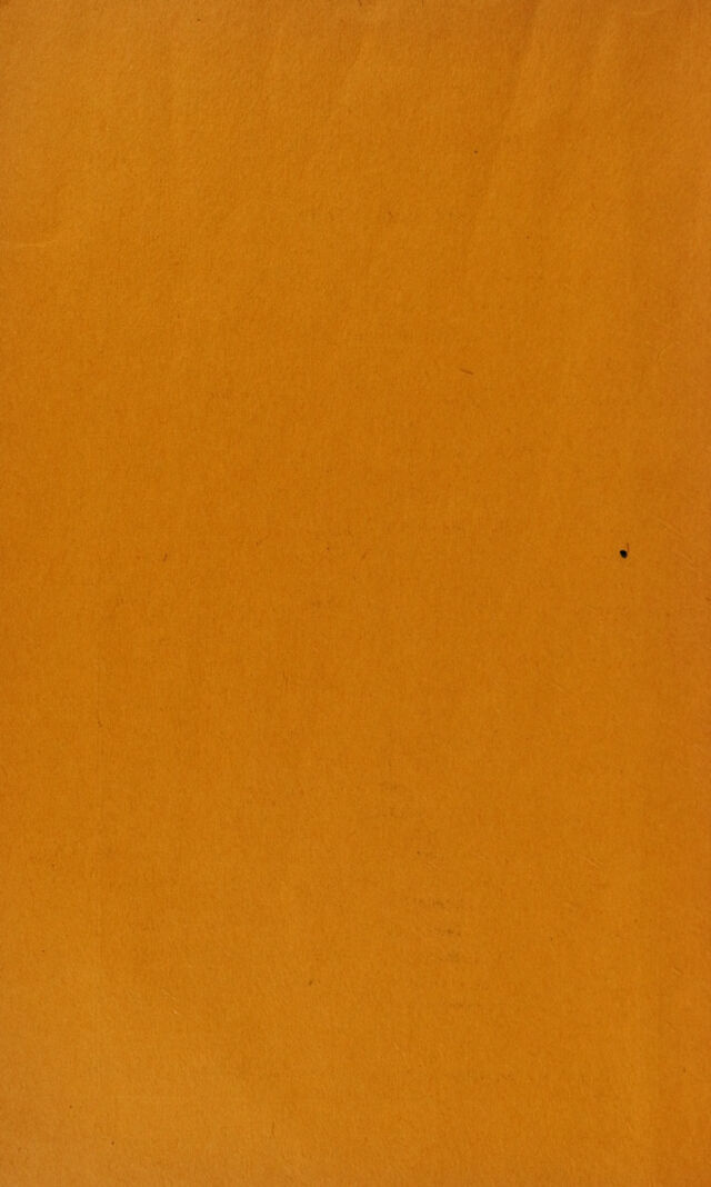digitised image 2
