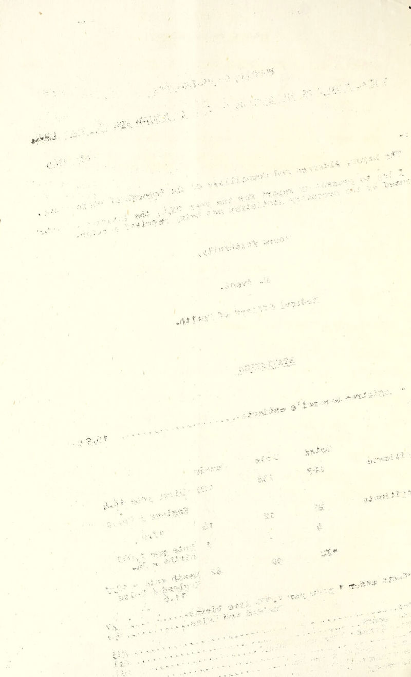 % v- ‘V;< , ' .• i •, i'^ vi2 y-’f =>•- ,v --.t :;. ■ , , v V i .... >: v,;. ’ ■. :7 ; ■ ' '■ V v .f ] 1'7 *■ ... ■: I'?'* / ' ^ 'V ! >: ■ f V . i,.r. v. i:- ' A? v*7' ' <v: - ■ ■ - Sr. v-. V. ' , .. V-O < ! v-T )i% * *•»< •v; ' v • ,r..v U.' *3 ■■#**** v- -r ; r> v ■r■ V r 't- ,.-rs »• *■ • * ■ , ~ 7 '••«■/.-;=: ■ ■ \ rK' N ■ . , v . • k ' „ A ‘ v. - i ■J • /■ '■ ‘ . . :V: • • c '■ ■ ■