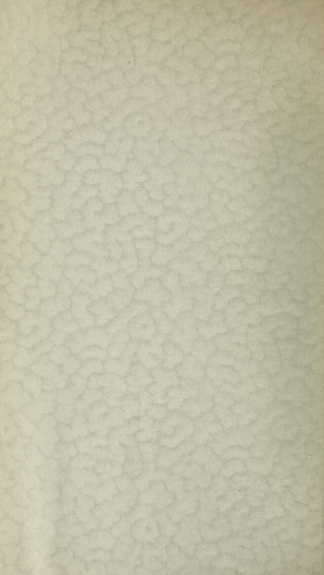 digitised image 2