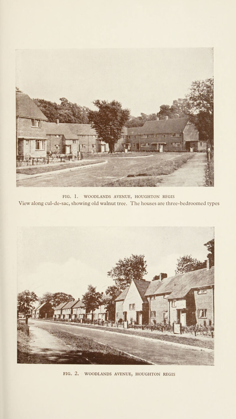 FIG. 1. WOODLANDS AVENUE, HOUGHTON REGIS View along cul-de-sac, showing old walnut tree. The houses are three-bedroomed types
