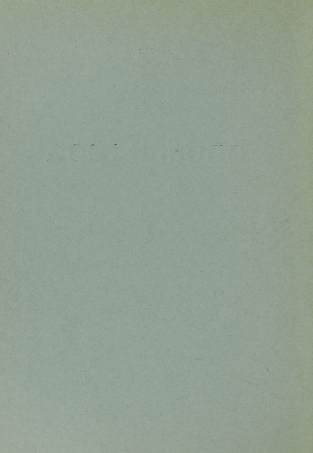 digitised image 2
