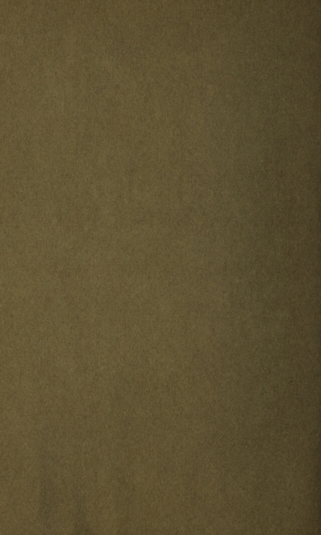 digitised image 2