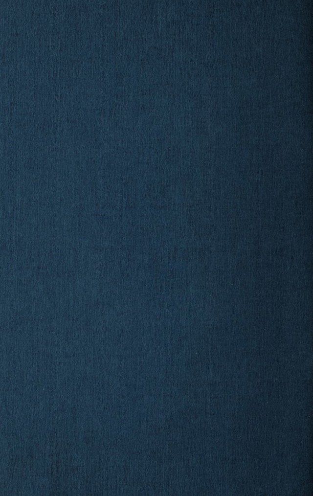 digitised image 2