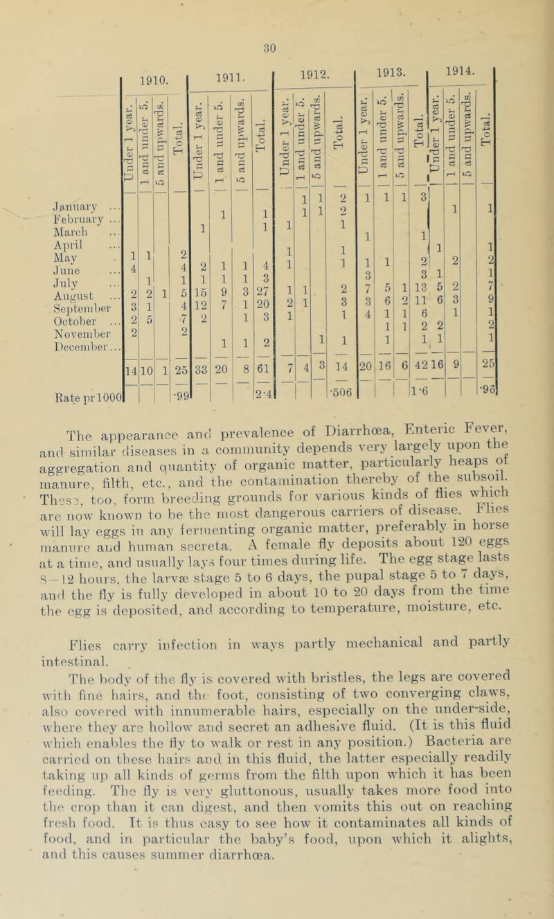 January February March April May June July August Septenihei October November December Rate prlOOO 1910. 1911. Under 1 year. \ 1 1 and under 5. 1 5 and upwards. 1 1 Total. 1 Under 1 year. 1 1 and under 5. 1 5 and upwards. 1 Total. 1 1 1 1 1 1 2 . 4 4 2 1 1 4 1 1 1 1 1 3 . 2 2 1 5 15 9 3 27 3 1 4 12 7 1 20 . 2 5 7 2 1 3 2 2 1 1 2 — — — — — 14 10 1 25 33 20 8 61 9 ■99 2-4 1912. c3 O H 14 •506 1913. 20 ^1 CO d ■S r^. 5 d 1 1 1 5 1 6 2 1 1 1 1 1 16 6 1914. ) c P 2i 3 13 11 6 2 1 4216 1-6 CC 'P ci S 25 ■93 The appearance anc! prevalence of Diarrhoea, Enteric Fev'er, and similar diseases in a community depends very largely upon the aggregation and quantity of organic matter, particularly heaps ot manure, filth, etc., and the contamination thereby of the subsoi . These, too, form breeding grounds for various kinds of flies which are now known to be the most dangerous carriers of disease, h lies will lay eggs in any fermenting organic matter, preferably in horse manure and human secreta. A female fly deposits about 120 eggs at a time, and usually lays four times during life. The egg stage lasts S—12 hours, the larvae stage 5 to 6 diiys, the pupal stage 5 to i day s, and the fly is fully developed in about 10 to 20 days from the time the egg is deposited, and according to temperature, moistuie, etc. Flies carry infection in ways partl,y mechanical and partly intestinal. The body of the flj^ is covered with bristles, the legs are covered with fine hairs, and tin foot, consisting of two converging claws, also covered with innumerable hairs, especially on the under-side, where they are hollow a.nd secret an adhesive fluid. (It is this fluid which enables the fly to walk or rest in any position.) Bacteria are carried on these hairs and in this fluid, the latter especially readily taking up all kinds of germs from the filth upon which it has been feeding. The fly is vei'y gluttonous, usually takes more food into the crop than it can digest, and then vomits this out on reaching Fresh food. It is thus easy to see how it contaminates all kinds of food, and in particular the baby’s food, upon which it alights, and this causes summer diarrhoea.