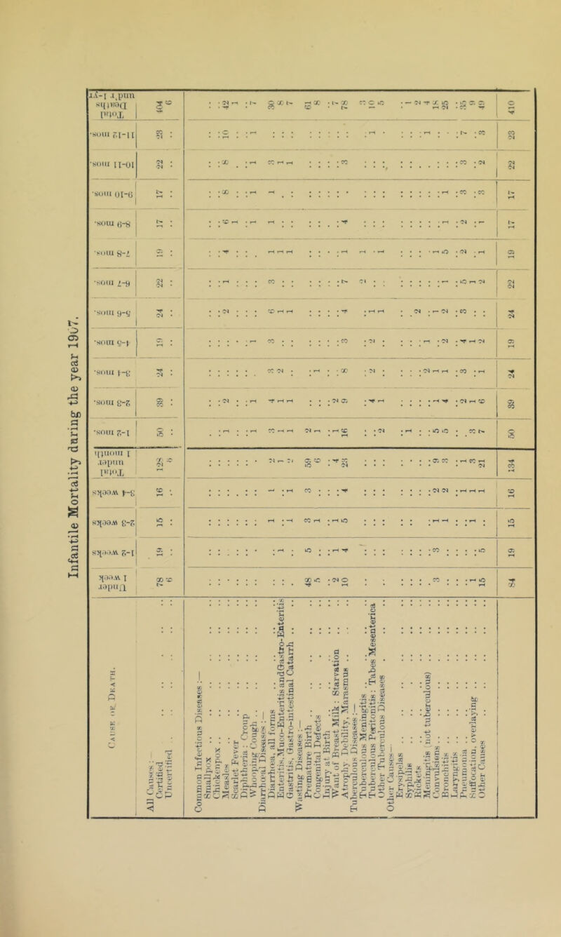 Infantile Mortality dnring the year 19iy7.
