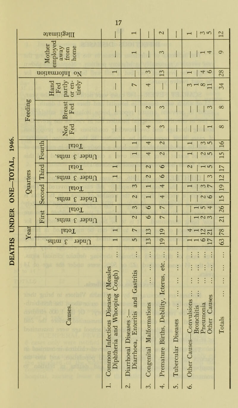 DEATHS UNDER ONE—TOTAL, 1946. 1 UOpBUIJOJUJ OJ^ 1 t-H I M- vO Feeding partly or en- ' CO ^ 00 M Breast Fed 1 1 Not Fed 1 1 tfl Ffox ^H :3 c» Fioi O ' 0) c/^ •sqtui p iapufi Fioi ro o i—1 lO M- 26 £ •sqiui p Japufp oq o to. 1—i CM ro 1-H CM Year Fioi 1—1 ro 1—1 Ov 1—i 1-H CM 1—1 1—1 CM OO •sq;ui £ Japup)^ i-H lO ro 1—1 OV 1-H 1—1 1—i vO iH ro Causes. 1. Common Infectious Diseases (Measles Diphtheria and Whooping Cough) 2. Diarrhoeal Diseases :— Diarrhoea, Enteritis and Gastritis 3. Congenital Malformations 4. Premature Births, Debility, Icterus, etc. ... 1 5. Tubercular Diseases 6. Other Causes—Convulsions Bronchitis Pneumonia Other Causes Totals