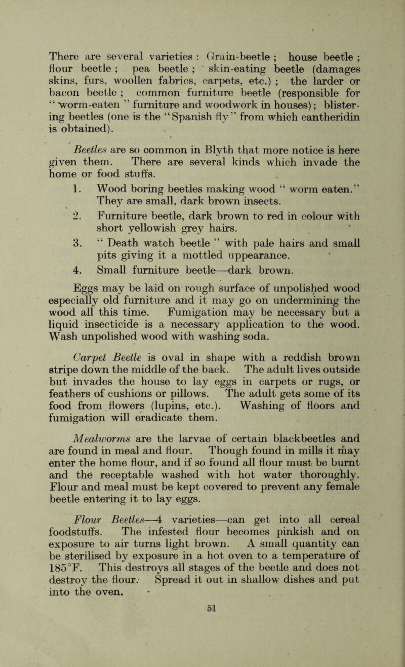 There are several varieties : Grain-beetle ; house beetle ; flour beetle ; pea beetle ; skin-eating beetle (damages skins, furs, woollen fabrics, carpets, etc.) ; the larder or bacon beetle ; common furniture beetle (responsible for “ worm-eaten ” furniture and woodwork in houses); blister- ing beetles (one is the “Spanish fly” from which cantheridin is obtained). Beetles are so common in Blyth that more notice is here given them. There are several kinds which invade the home or food stuffs. 1. Wood boring beetles making wood “ worm eaten.” They are small, dark brown insects. 2. Furniture beetle, dark brown to red in colour with short yellowish grey hairs. 3. “ Death watch beetle ” with pale hairs and small pits giving it a mottled uppearance. 4. Small furniture beetle—dark brown. Eggs may be laid on rough surface of unpolished wood especially old furniture and it may go on undermining the wood all this time. Fumigation may be necessary but a liquid insecticide is a necessary application to the wood. Wash unpolished wood with washing soda. Carpet Beetle is oval in shape with a reddish brown stripe down the middle of the back. The adult lives outside but invades the house to lay eggs in carpets or rugs, or feathers of cushions or pillows. The adult gets some of its food from flowers (lupins, etc.). Washing of floors and fumigation will eradicate them. Mealworms are the larvae of certain blackbeetles and are found in meal and flour. Though found in mills it may enter the home flour, and if so found all flour must be burnt and the receptable washed with hot water thoroughly. Flour and meal must be kept covered to prevent any female beetle entering it to lay eggs. Flour Beetles—4 varieties—can get into all cereal foodstuffs. The infested flour becomes pinkish and on exposure to air turns light brown. A small quantity can be sterilised by exposure in a hot oven to a temperature of 185°F. This destroys all stages of the beetle and does not destroy the flour.- Spread it out in shallow dishes and put into the oven.