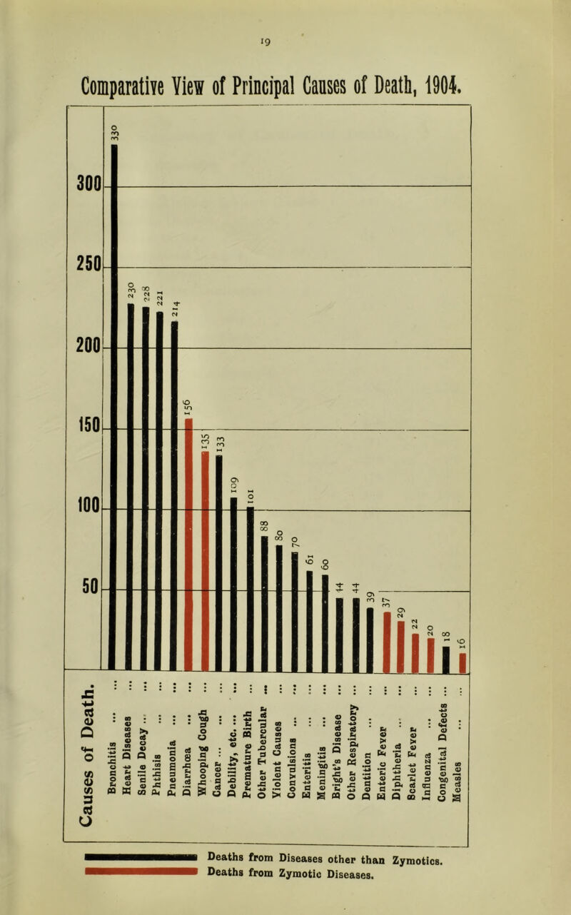 Comparative View of Principal Causes of Death, 1904. Deaths from Diseases other than Zymotics. Deaths from Zymotic Diseases.