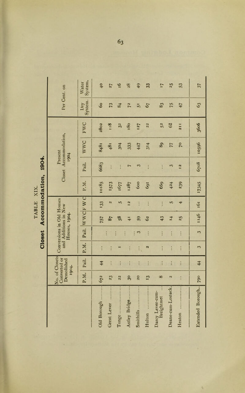 TABLE XIX. Accommodation, 1904.