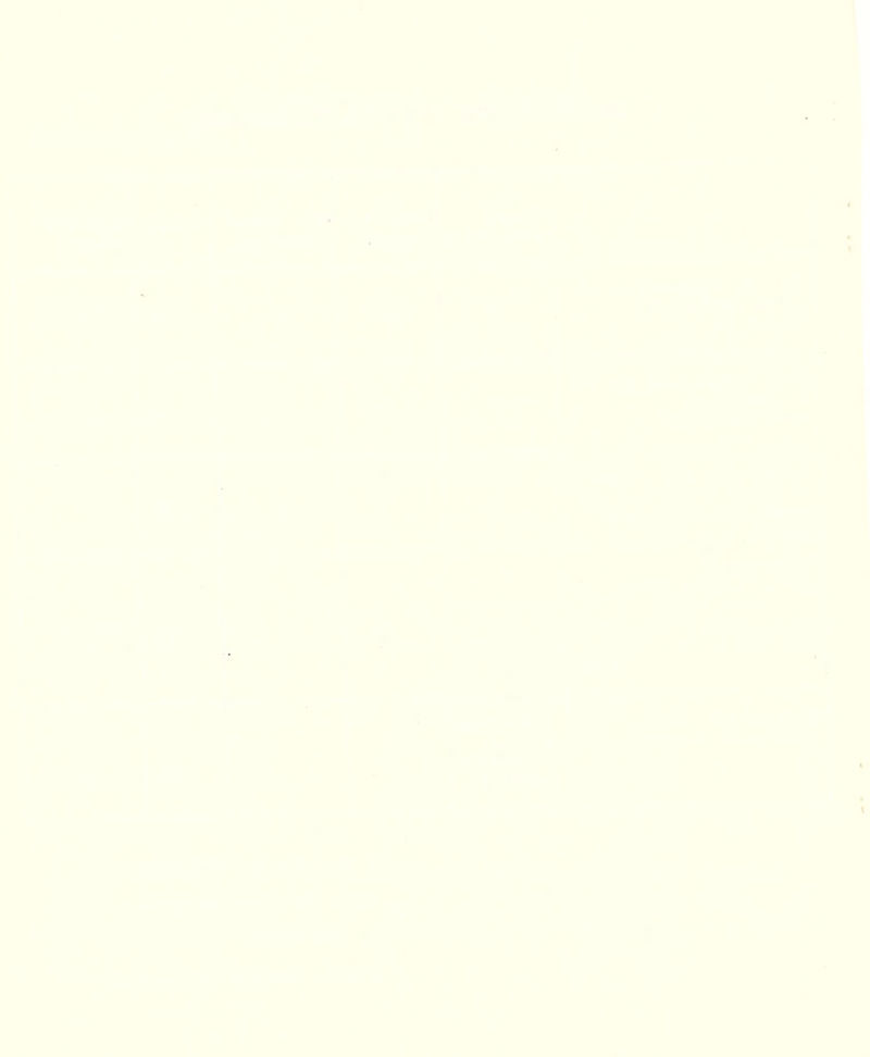 1 !1V t 1 • . •*4 i i I;. \ Vtif H»#.^ ’t** 4