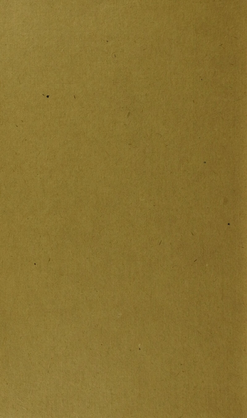 \ N . ■ } ' I A; 7 V : ' * . • A \