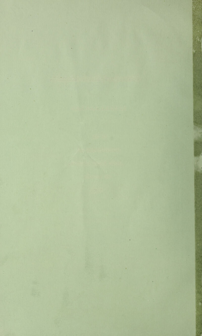 c I t *' -fjl I i-' »•' . it- .■V '1 r <r ■1 '***