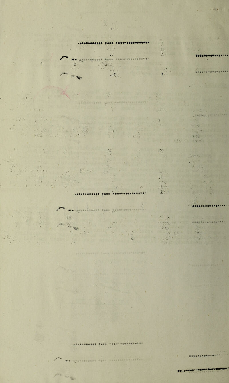 a ^ ^ i' a* J ^ ^ ^ * V ».***>'ll»V'••'*•»* / V ® »• <1? •* * '3 «• <• if- ■ ■'♦••••♦••••••• • • i, )! i»<. V > .««>*••.••»