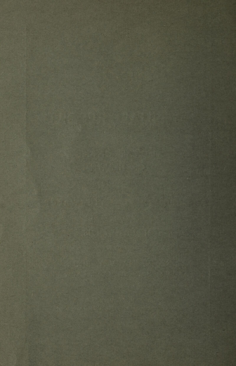 • ' ' -.V ■ : i --- .i4i