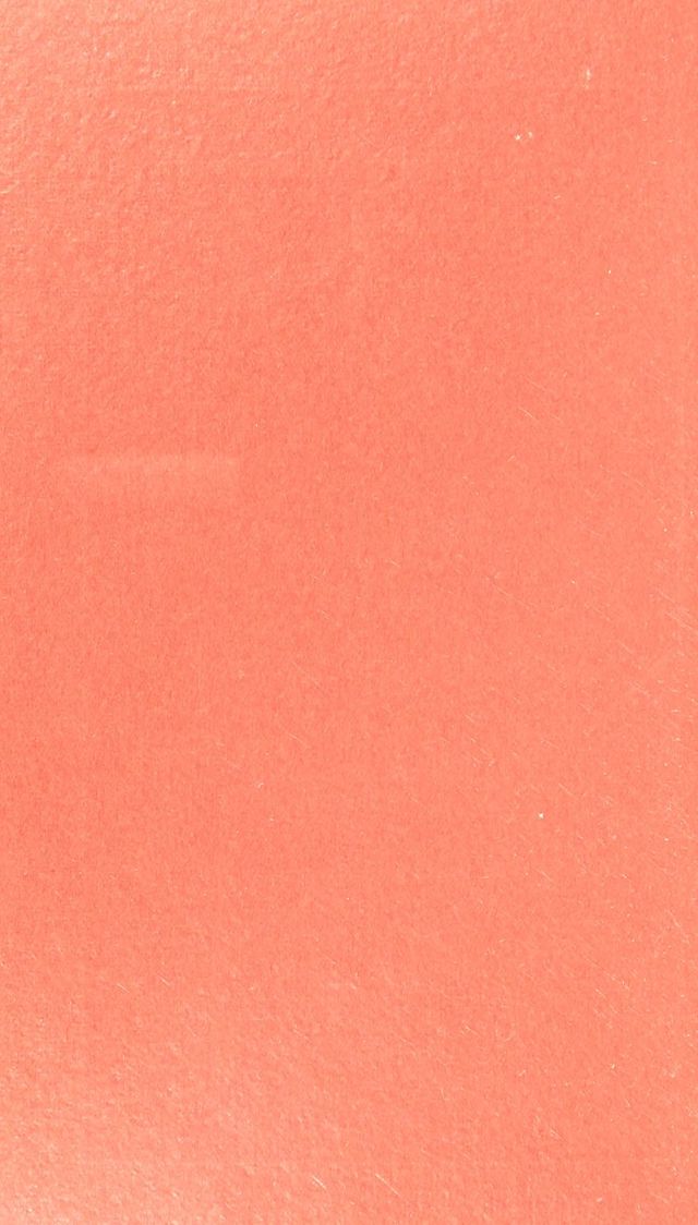 digitised image 2