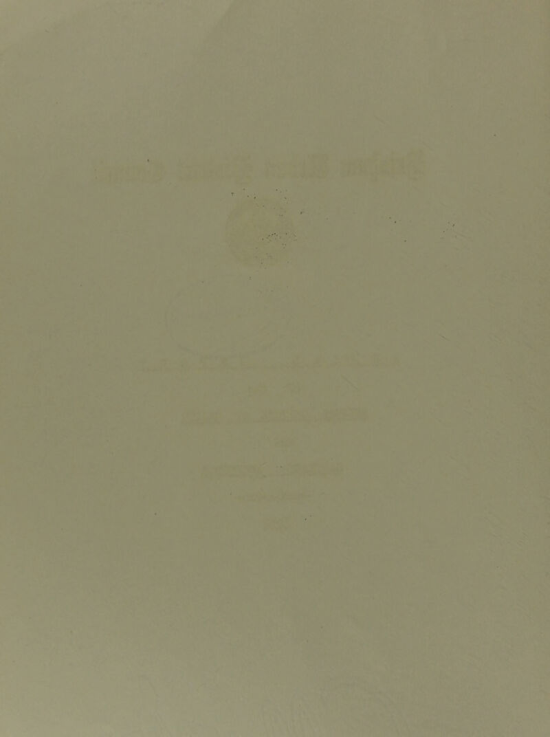 .-y ' fl • • 1 I r 1 \ I i f * ■ r A f ik:- J ^ * ^ 4 ^/«S » u.* ..l’..’i. > »' ■ ■ fl ^ -V ■' V S * S , V X