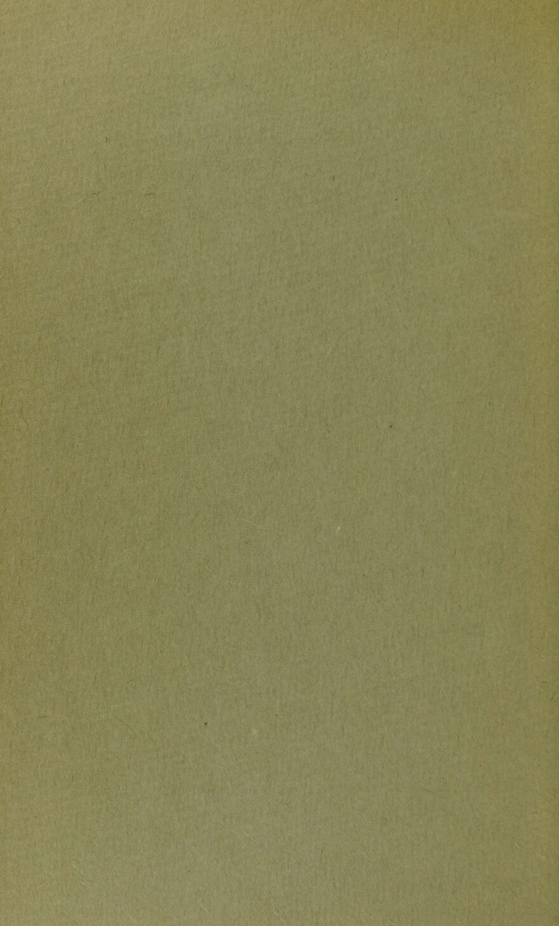 ■ ■ u • ^ ’r / / . '/ 1 / V I ! ■ \