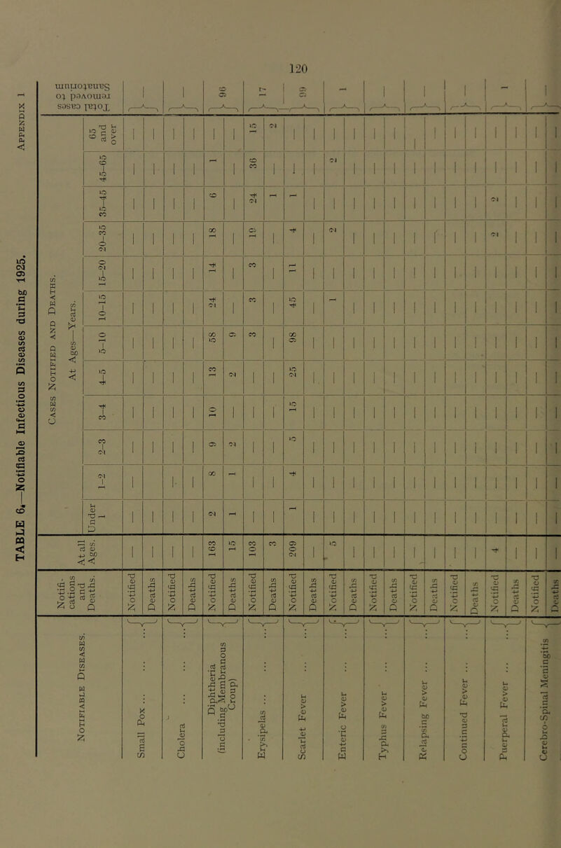 TABLE 6*—Notifiable Infectious Diseases during 1925. Appendix
