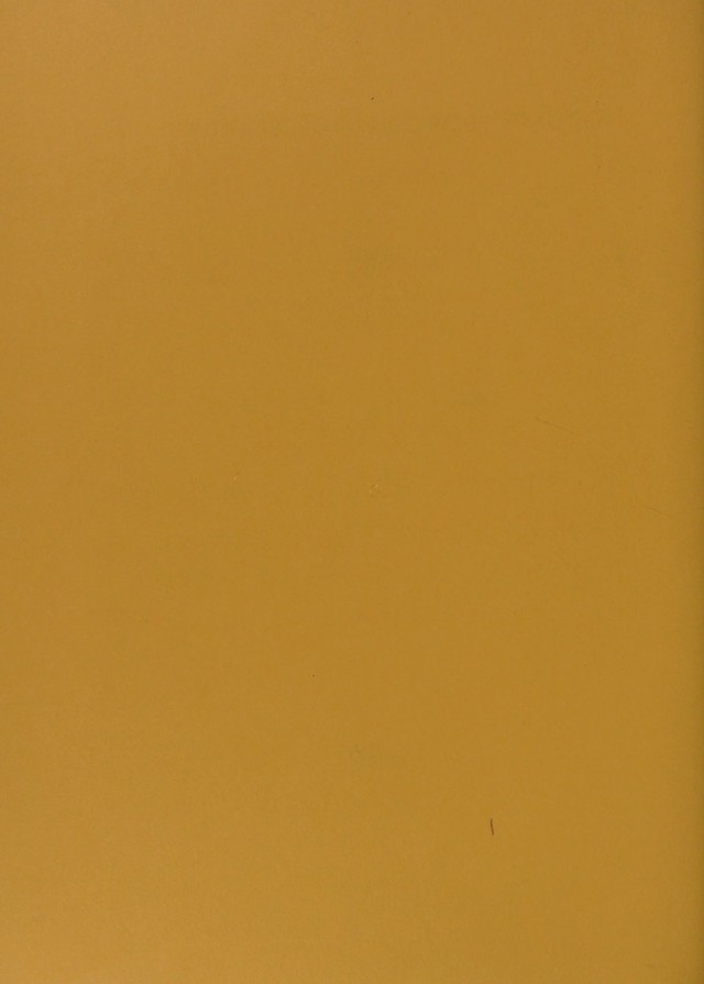 digitised image 2