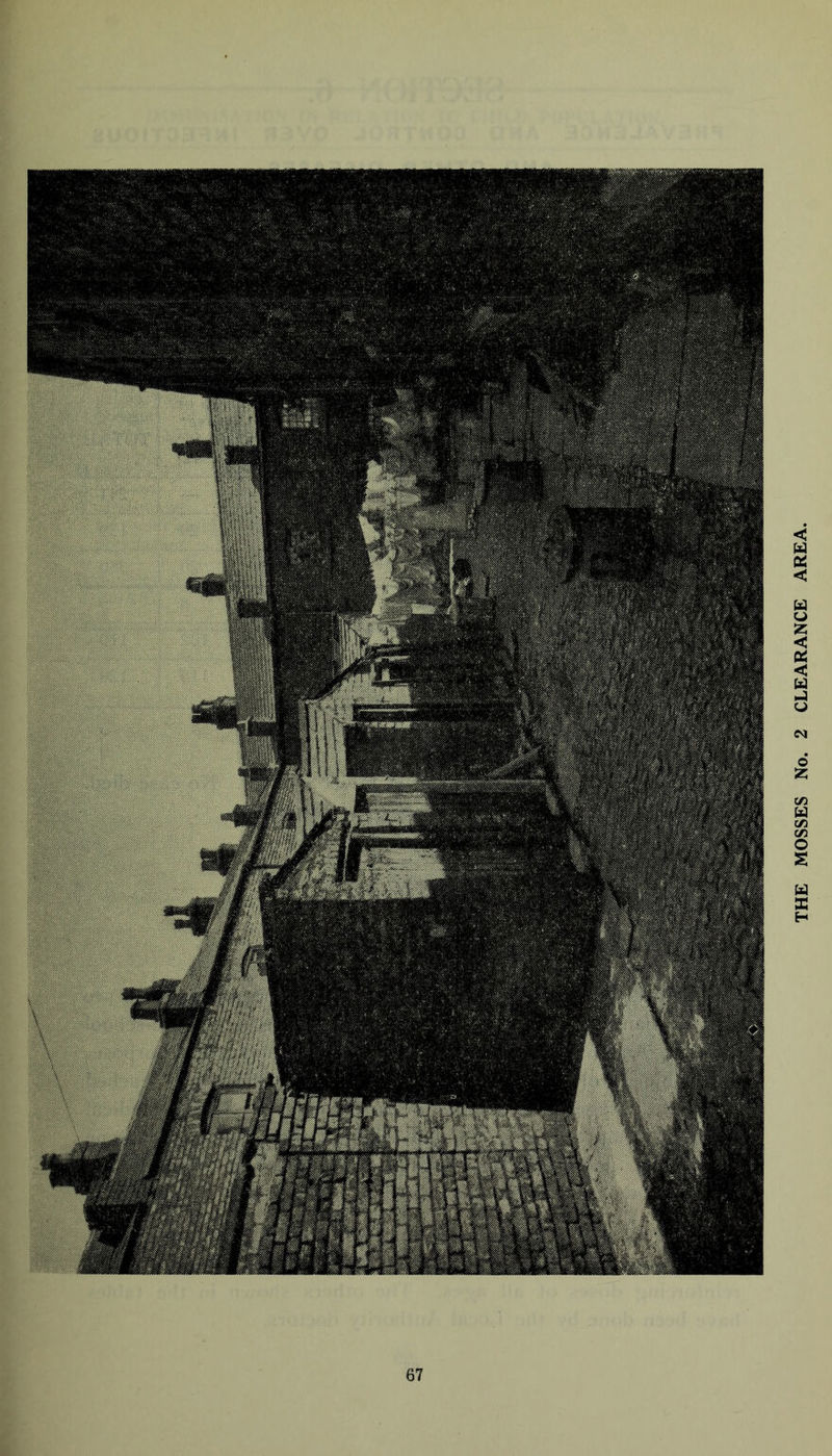 THE MOSSES No. 2 CLEARANCE AREA.