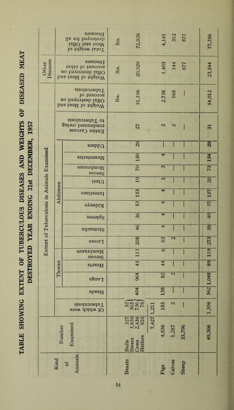 TABLE SHOWING EXTENT OF TUBERCULOUS DISEASES AND WEIGHTS OF DISEASED MEAT DESTROYED YEAR ENDING 31st DECEMBER, 1957 SOSUOSXQ nu joj p97Coj:^S0p i^»o ;^31/\I JO jqSpAL jejox lbs. 72,026 4,141 312 877 77,356 Other Diseases S9SU9SIQ J9qjo JO junoo9B UO p9AojJS9p lUJJO pun JU9J\[ JO jqSpAV lbs. 20,920 1,403 144 877 23,344 Extent of Tuberculosis in Animals Examined STSO{noj9qnx JO junooeu UO p9^ojjs9p jnjjo pun JO jqSpAY lbs. 51,106 2,738 168 54,012 Abdomen | siso|noj9qnx oj 9S'B9J['B3 9JIJU3 27 ^ III <N III 4 1—1 sou-Bjqmopi snoj9s U' 1 1 4 t> 1—1 sXaupix fO ^11 lO 1 1 in SU99jds ^ ^11 o sqoumojs ^ ^11 o in SJ9AIX 208 63 2 ■ CO CM Thorax | S9U'Bjqm9i/\[ snoj9s 113 6 tH sjanoH 45 44 0\ 00 sSunq 964 82 2 1,048 spu9H 404 158 “1 CM VO >n STSojnojoqnx oaoAV qoiqAV jq CM lO VO 00 ro VO CO fO 1,211 185 2 1,398 Number Examined Bulls 327 Steers 3,850 Cows 2,434 Heifers 816 7,427 4,856 1,287 35,796 49,366 Kind of Animals Beasts Pigs Calves Sheep