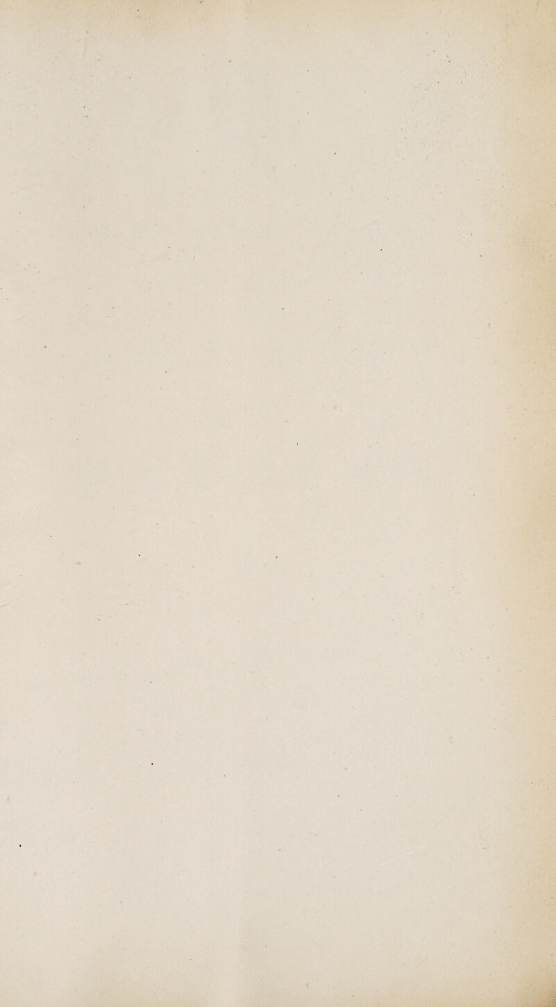 '/ \ t / i I f- j • ^ -;. r m ^ ' * * ■ .' ' * .; - I