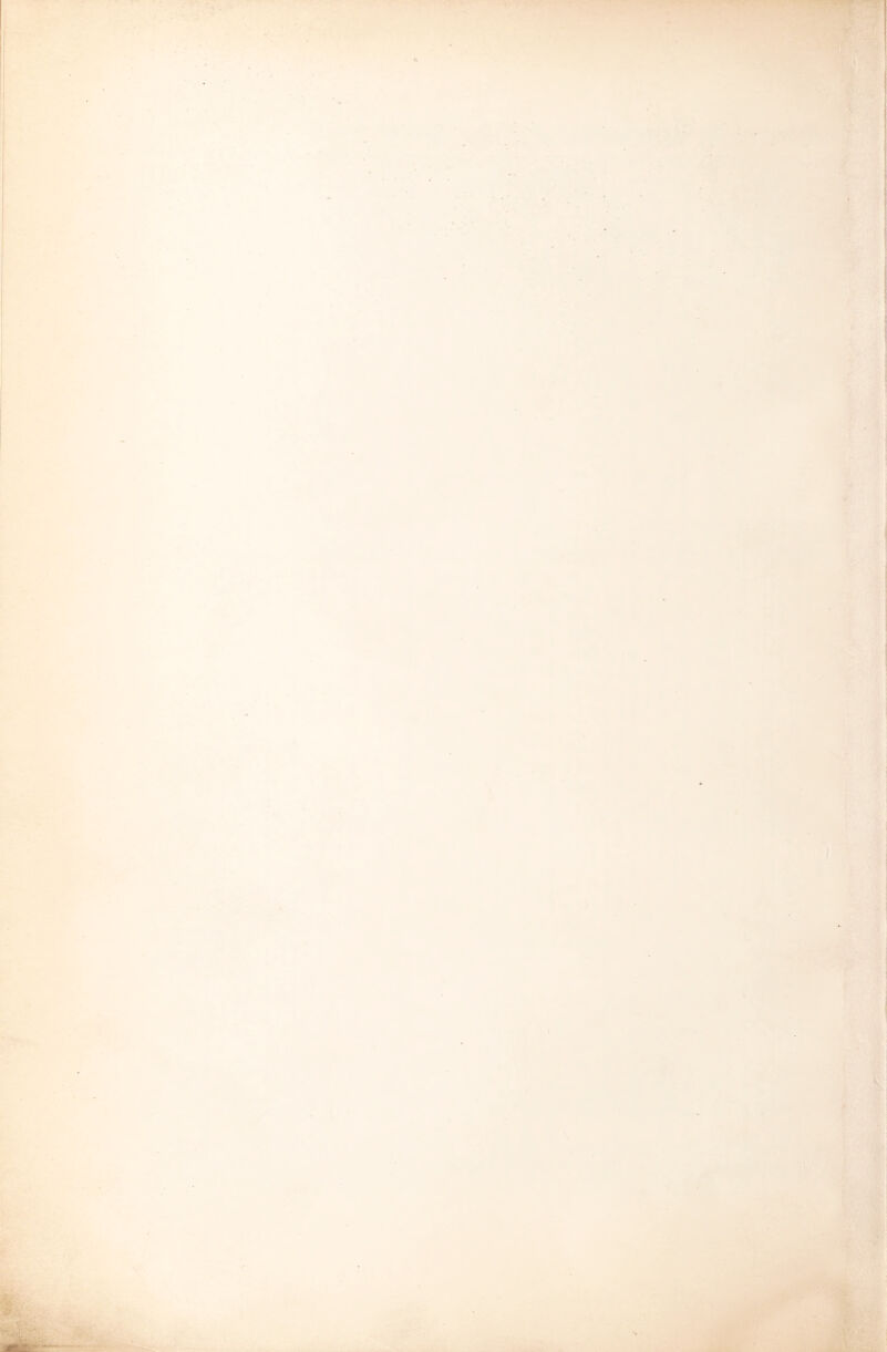 'i\r r •. . » • ^ /• -■• 7 ’•.IV’.* f L r - ’' ■ p^-.- / ■ t..-.''  'i . i fevi 'IL % ■3^ '^1 J i V . 2‘> ■ •■■*4,*{ t ..‘I ■.■^if.M :. i kAvA