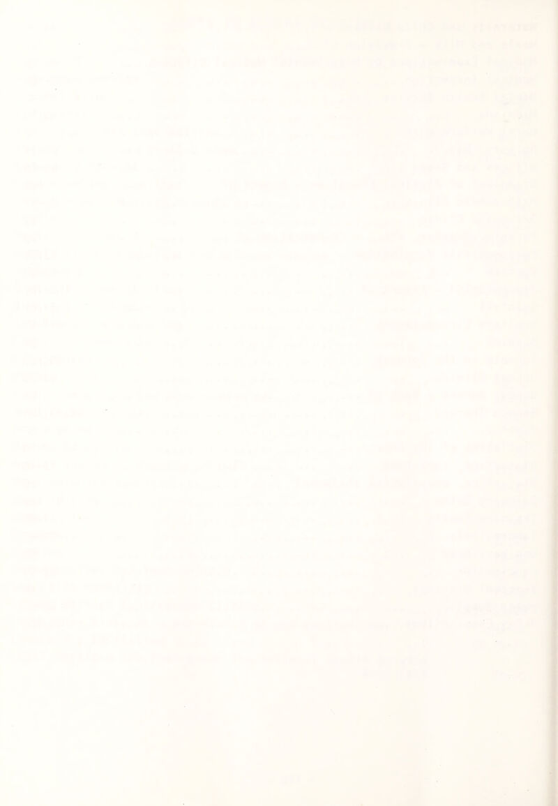 |if< % *&■ 'iBki I -* » -w ft ■« * *■ ;# • tj4 ‘ t 1.1 * '• ■• *■ a * • ■*<^-’« K ■ .♦ -V. .fmi j*. * . * ..* ^ ' « * « . < * « « « « * * 4 ♦ -  *?“ • .* ■* i II - . ■>*•• - .-.S*’* - « * ' ■■ * ,. .. ..» r- * « ♦ ■• ■ , ♦ - * ^ « t- ^j| . ''f'W •< W ^ • • ,■ - - i ? * ’ = » « I t < » f . 4» \ Cb 4 ***f I'i'