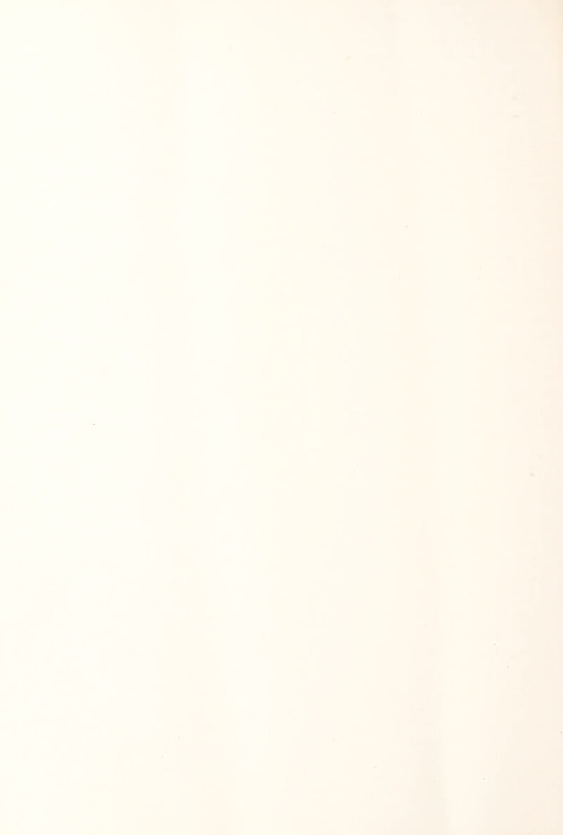 ft; A M it m- t. » n i< V U .. I ■^1 K h H .1 II II > It \ I J / \ 'i 3 •NT* »