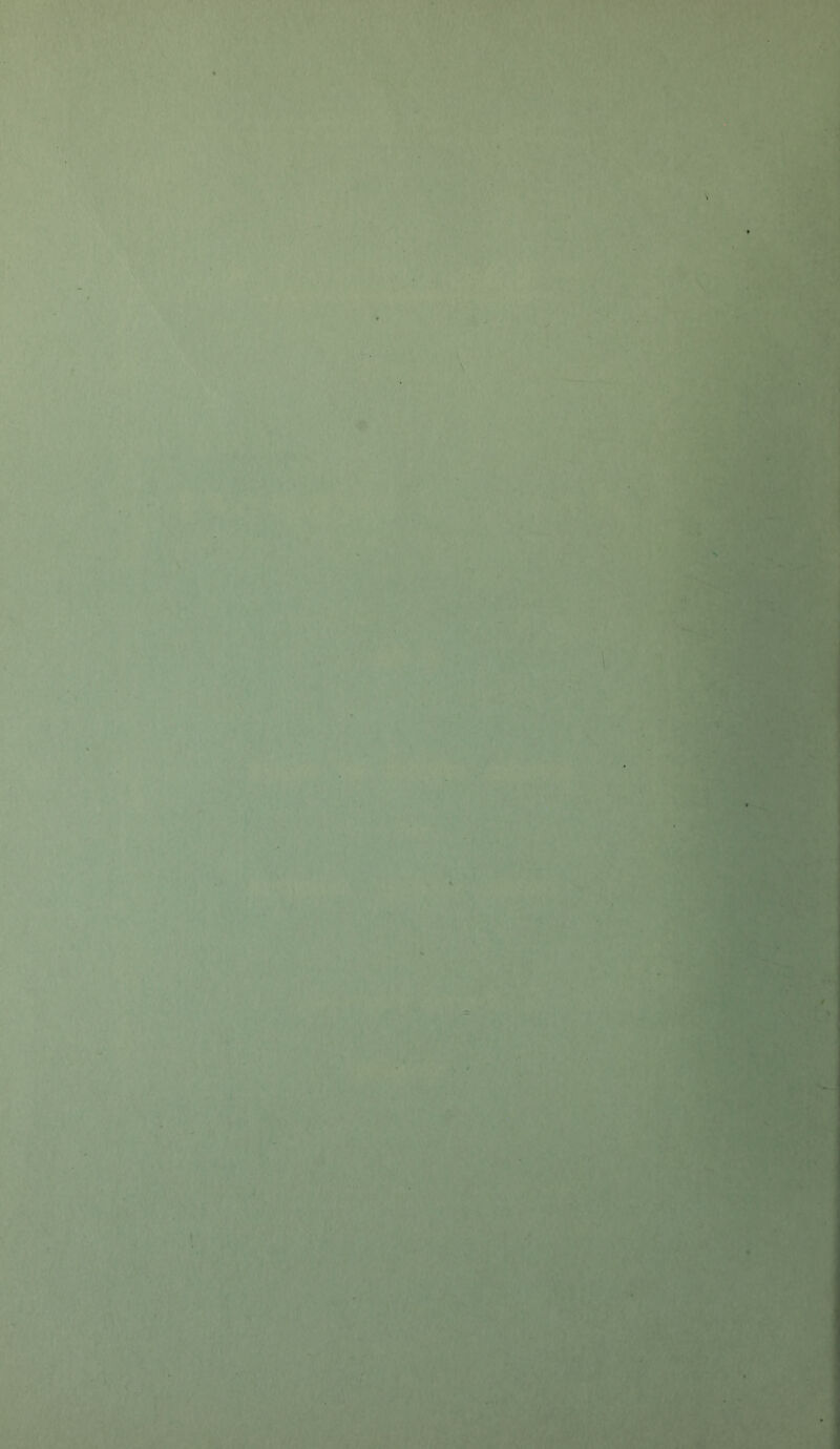 ■l I I I 1 « ! } t