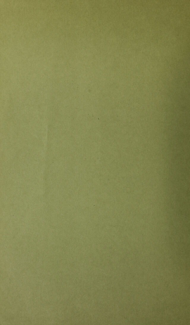 digitised image 2