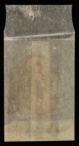 [Ivy Leaf Corn Silk].