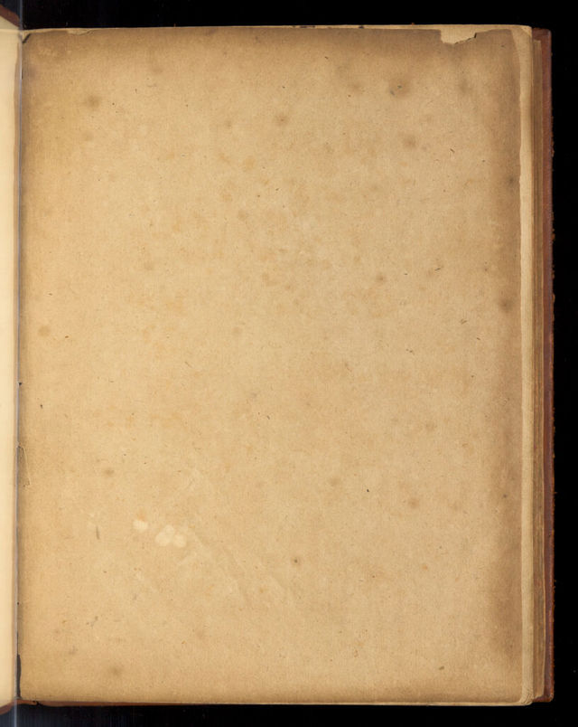 digitised image 3