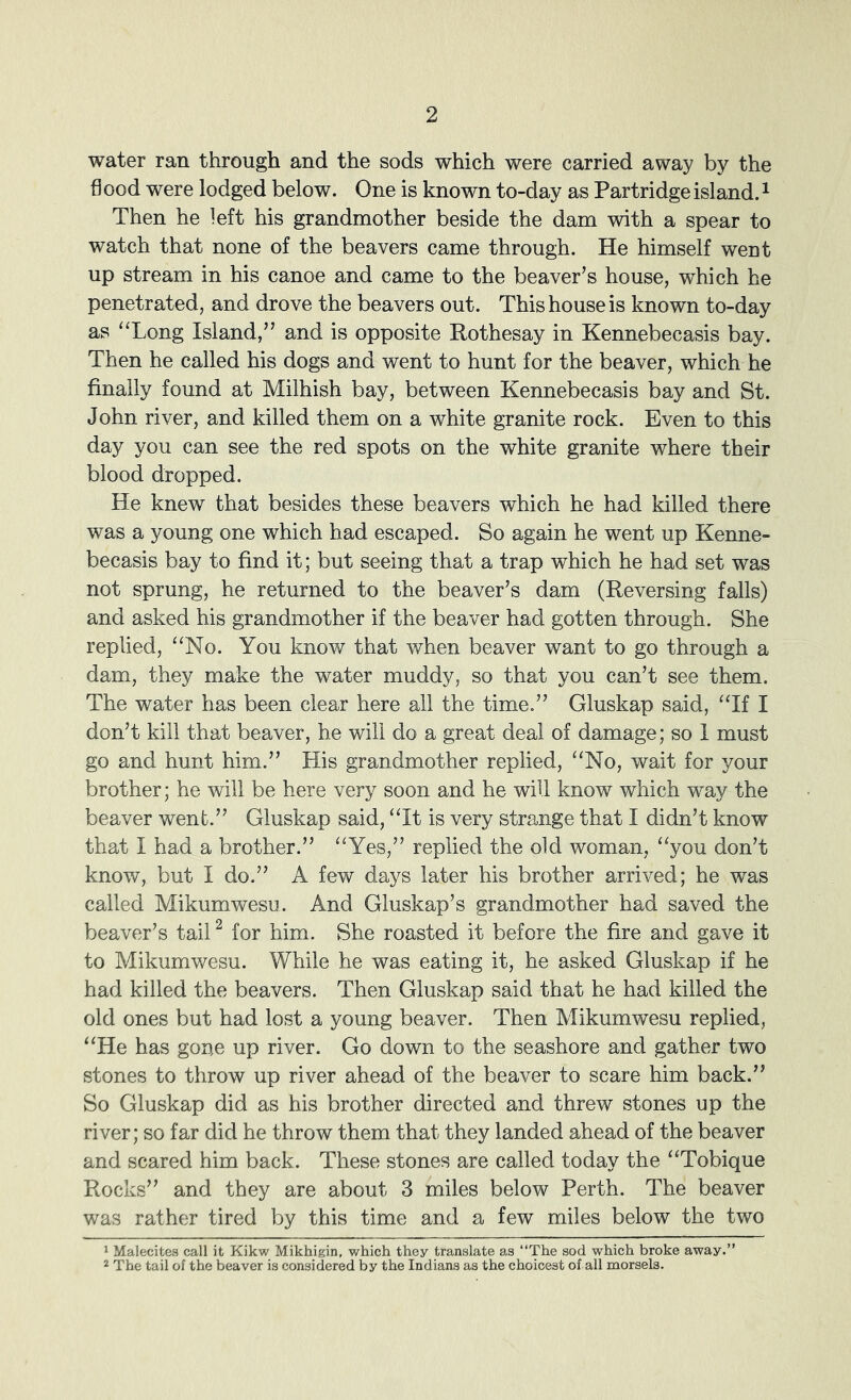 water ran through and the sods which were carried away by the flood were lodged below. One is known to-day as Partridge island. ^ Then he left his grandmother beside the dam with a spear to watch that none of the beavers came through. He himself went up stream in his canoe and came to the beaver’s house, which he penetrated, and drove the beavers out. This house is known to-day as “Long Island,” and is opposite Rothesay in Kennebecasis bay. Then he called his dogs and went to hunt for the beaver, which he finally found at Milhish bay, between Kennebecasis bay and St. John river, and killed them on a white granite rock. Even to this day you can see the red spots on the white granite where their blood dropped. He knew that besides these beavers which he had killed there was a young one which had escaped. So again he went up Kenne- becasis bay to find it; but seeing that a trap which he had set was not sprung, he returned to the beaver’s dam (Reversing falls) and asked his grandmother if the beaver had gotten through. She replied, “No. You know that when beaver want to go through a dam, they make the water muddy, so that you can’t see them. The water has been clear here all the time.” Gluskap said, “If I don’t kill that beaver, he will do a great deal of damage; so I must go and hunt him.” His grandmother replied, “No, wait for your brother; he will be here very soon and he will know which way the beaver went.” Gluskap said, “It is very strange that I didn’t know that I had a brother.” “Yes,” replied the old woman, “you don’t know, but I do.” A few days later his brother arrived; he was called Mikumwesu. And Gluskap’s grandmother had saved the beaver’s tail ^ for him. She roasted it before the fire and gave it to Mikumwesu. While he was eating it, he asked Gluskap if he had killed the beavers. Then Gluskap said that he had killed the old ones but had lost a young beaver. Then Mikumwesu replied, “He has gone up river. Go down to the seashore and gather two stones to throw up river ahead of the beaver to scare him back.” So Gluskap did as his brother directed and threw stones up the river; so far did he throw them that they landed ahead of the beaver and scared him back. These stones are called today the “Tobique Rocks” and they are about 3 miles below Perth. The beaver was rather tired by this time and a few miles below the two 1 Malecites call it Kikw Mikhigin, which they translate as “The sod which broke away.” * The tail of the beaver is considered by the Indians as the choicest of all morsels.