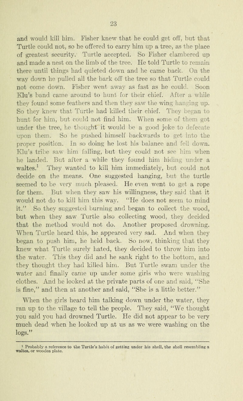 and would kill him. Fisher knew that he could get off, but that Turtle could not, so he offered to carry him up a tree, as the place of greatest security.' Turtle accepted. So Fisher clambered up and made a nest on the limb of the tree. He told Turtle to remain there until things had quieted down and he came back. On the way down he pulled all the bark off the tree so that Turtle could not come down. Fisher went away as fast as he could. Soon Klu’s band came around to hunt for their chief. After a while they found some feathers and then they saw the wing hanging up. So they knew that Turtle had killed their chief. They began to hunt for him, but could not find him. When some of them got under the tree, he thought' it would be a good joke to defecate upon them. So he pushed himself backwards to get into the proper position. In so doing he lost his balance and fell down. Klu’s tribe saw him failing, but they could not see him when he landed. But after a while they found him hiding under a waltes.^ They wanted to kill him immediately, but could not decide on the means. One suggested hanging, but the turtle seemed to be very much pleased. He even went to get a rope for them. But when they saw his willingness, they said that it would not do to kill him this way. “He does not seem to mind it.” So they suggested burning and began to collect the wood, but when they saw Turtle also collecting wood, they decided that the method would not do. Another proposed drowning. When Turtle heard this, he appeared very sad. And when they began to push him, he held back. So now, thinking that they knew what Turtle surely hated, they decided to throw him into the water. This they did and he sank right to the bottom, and they thought they had killed him. But Turtle swam under the water and finally came up under some girls who were washing clothes. And he looked at the private parts of one and said, “She is fine,” and then at another and said, “She is a little better.” When the girls heard him talking down under the water, they ran up to the village to tell the people. They said, “We thought you said you had drowned Turtle. He did not appear to be very much dead when he looked up at us as we were washing on the logs.” 1 Probably a reference to the Turtle’s habit of getting under his shell, the shell resembling a waltes, or wooden plate.