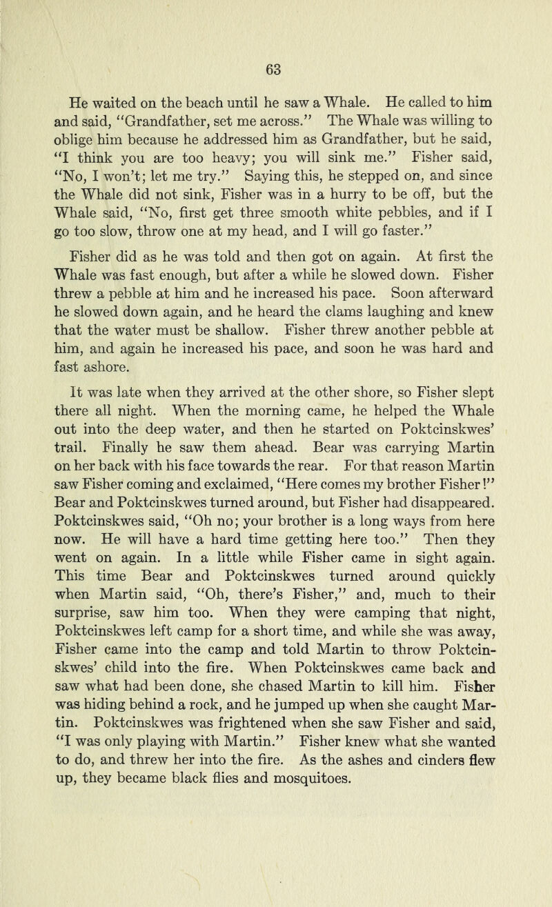 He waited on the beach until he saw a Whale. He called to him and said, “Grandfather, set me across.^’ The Whale was willing to oblige him because he addressed him as Grandfather, but he said, “I think you are too heavy; you will sink me,” Fisher said, “No, I won’t; let me try.” Saying this, he stepped on, and since the Whale did not sink, Fisher was in a hurry to be off, but the Whale said, “No, first get three smooth white pebbles, and if I go too slow, throw one at my head, and I will go faster.” Fisher did as he was told and then got on again. At first the Whale was fast enough, but after a while he slowed down. Fisher threw a pebble at him and he increased his pace. Soon afterward he slowed down again, and he heard the clams laughing and knew that the water must be shallow. Fisher threw another pebble at him, and again he increased his pace, and soon he was hard and fast ashore. It was late when they arrived at the other shore, so Fisher slept there all night. When the morning came, he helped the Whale out into the deep water, and then he started on Poktcinskwes’ trail. Finally he saw them ahead. Bear was carrying Martin on her back with his face towards the rear. For that reason Martin saw Fisher coming and exclaimed, “Here comes my brother Fisher!” Bear and Poktcinskwes turned around, but Fisher had disappeared. Poktcinskwes said, “Oh no; your brother is a long ways from here now. He will have a hard time getting here too.” Then they went on again. In a little while Fisher came in sight again. This time Bear and Poktcinskwes turned around quickly when Martin said, “Oh, there’s Fisher,” and, much to their surprise, saw him too. When they were camping that night, Poktcinskwes left camp for a short time, and while she was away, Fisher came into the camp and told Martin to throw Poktcin- skwes’ child into the fire. When Poktcinskwes came back and saw what had been done, she chased Martin to kill him. Fisher was hiding behind a rock, and he jumped up when she caught Mar- tin. Poktcinskwes was frightened when she saw Fisher and said, “I was only playing with Martin.” Fisher knew’ what she wanted to do, and threw her into the fire. As the ashes and cinders flew up, they became black flies and mosquitoes.