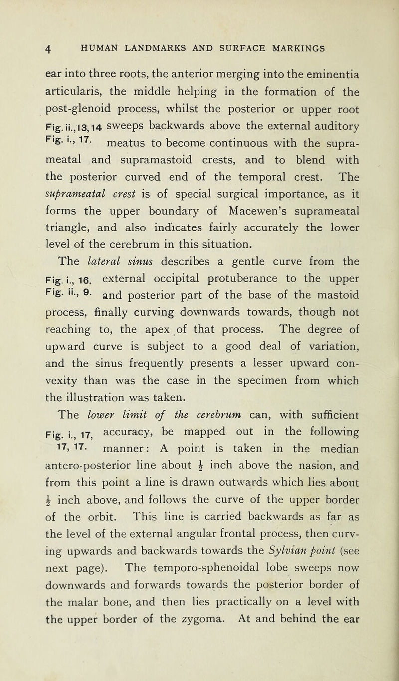 ear into three roots, the anterior merging into the eminentia articularis, the middle helping in the formation of the post-glenoid process, whilst the posterior or upper root Fig. ii., 13,14 sweeps backwards above the external auditory Fig. I., 17. meatus to become continuous with the supra- meatal and supramastoid crests, and to blend with the posterior curved end of the temporal crest. The suprameatal crest is of special surgical importance, as it forms the upper boundary of Macewen’s suprameatal triangle, and also indicates fairly accurately the lower level of the cerebrum in this situation. The lateral sinus describes a gentle curve from the Fig. i., 16. external occipital protuberance to the upper Fig. ii., 9. posterior part of the base of the mastoid process, finally curving downwards towards, though not reaching to, the apex of that process. The degree of upward curve is subject to a good deal of variation, and the sinus frequently presents a lesser upward con- vexity than was the case in the specimen from which the illustration was taken. The lower limit of the cerebrum can, with sufficient Pjg j ^ 17^ accuracy, be mapped out in the followung “•T 17. manner: A point is taken in the median antero-posterior line about J inch above the nasion, and from this point a line is drawn outwards which lies about I inch above, and follows the curve of the upper border of the orbit. This line is carried backwards as far as the level of the external angular frontal process, then curv- ing upwards and backwards towards the Sylvian point (see next page). The temporo-sphenoidal lobe sweeps now^ downwards and forwards towards the posterior border of the malar bone, and then lies practically on a level with the upper border of the zygoma. At and behind the ear